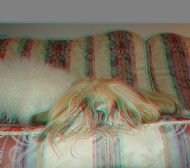 Ollie 3D